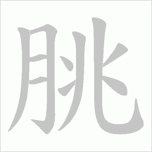 朓的筆順動畫演示