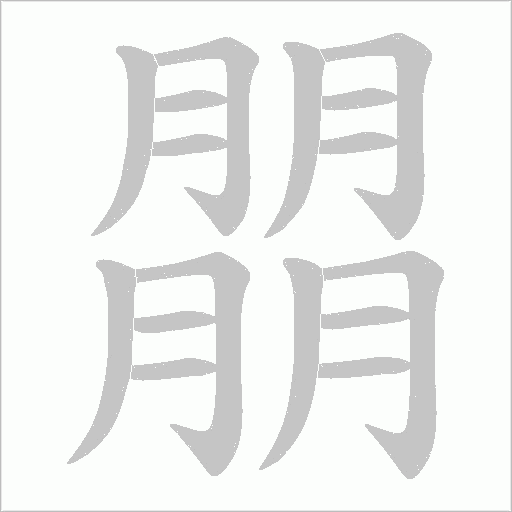 朤的筆順動畫演示