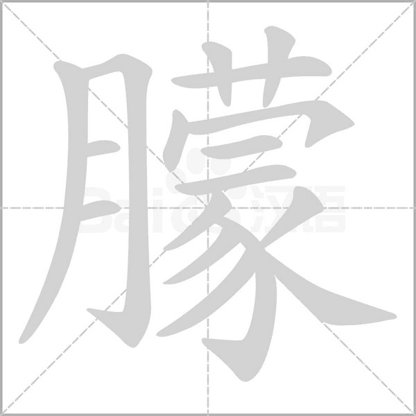 朦的筆順動(dòng)畫演示