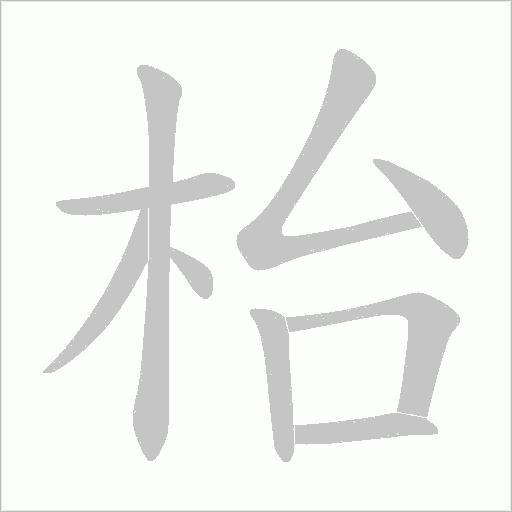 枱的筆順動畫演示