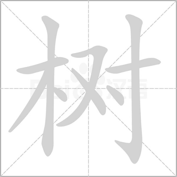 樹(shù)的筆順動(dòng)畫(huà)演示