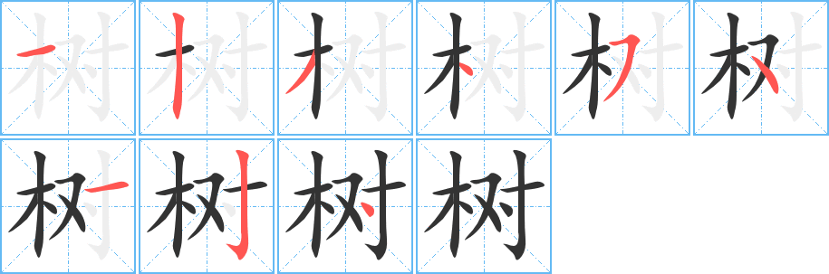 樹(shù)的筆順?lè)植窖菔?><hr /><h2>樹(shù)的基本信息</h2><div   id=