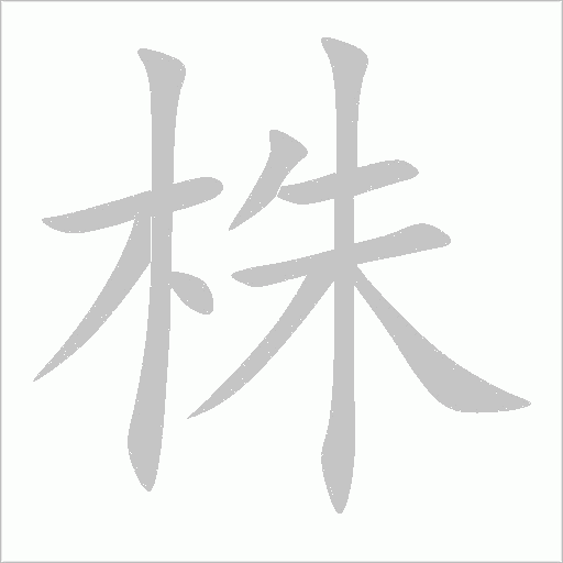 株的筆順動畫演示