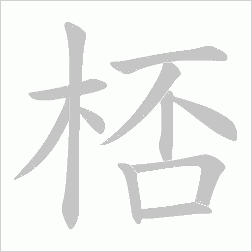 桮的筆順動(dòng)畫演示
