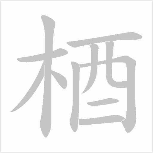 梄的筆順動畫演示