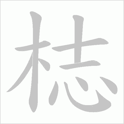 梽的筆順動畫演示