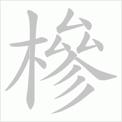 槮的筆順動畫演示