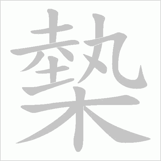 槷的筆順動畫演示