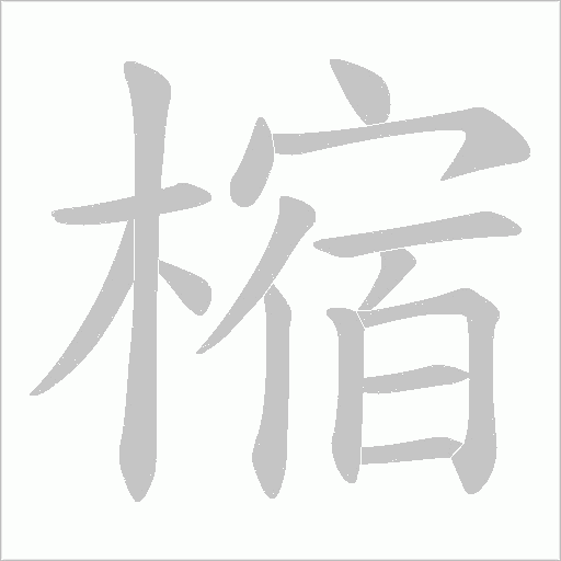 樎的筆順動畫演示