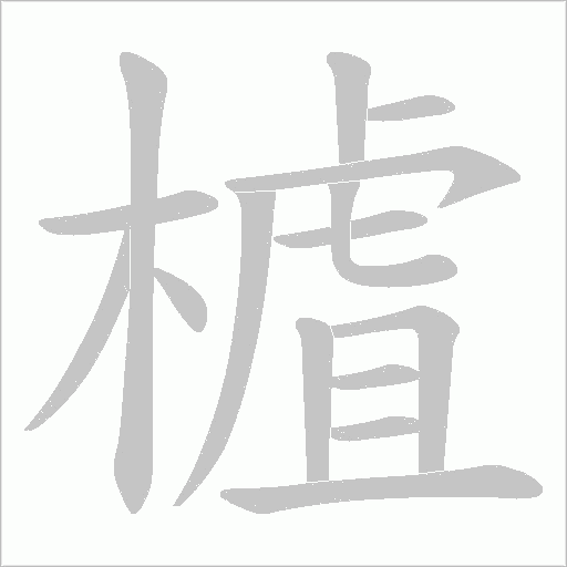 樝的筆順動畫演示
