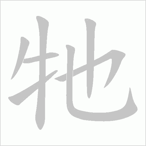 牠的筆順動畫演示