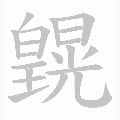 皩的筆順動畫演示