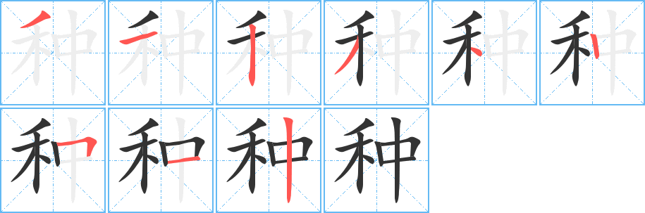 種的筆順?lè)植窖菔?><hr /><h2>種的基本信息</h2><div   id=