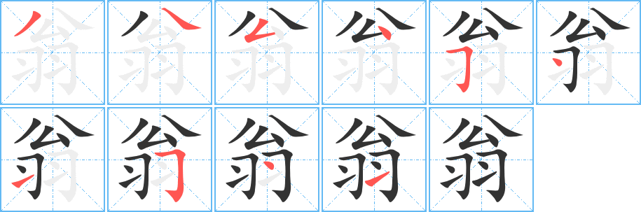翁的筆順?lè)植窖菔?><hr /><h2>翁的基本信息</h2><div   id=