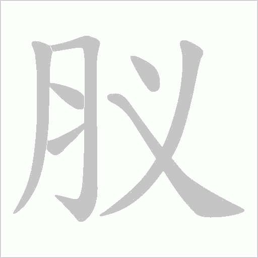 肞的筆順動畫演示
