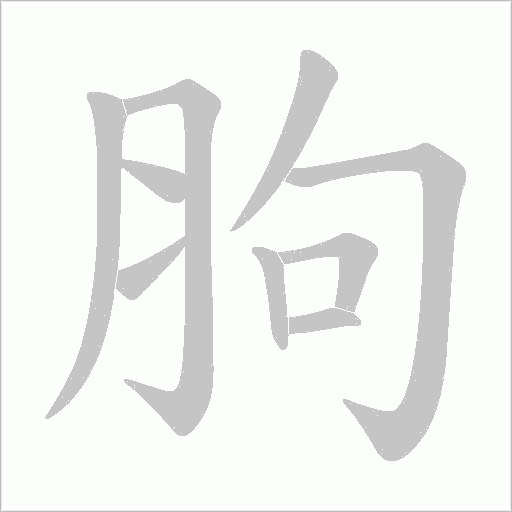 胊的筆順動畫演示