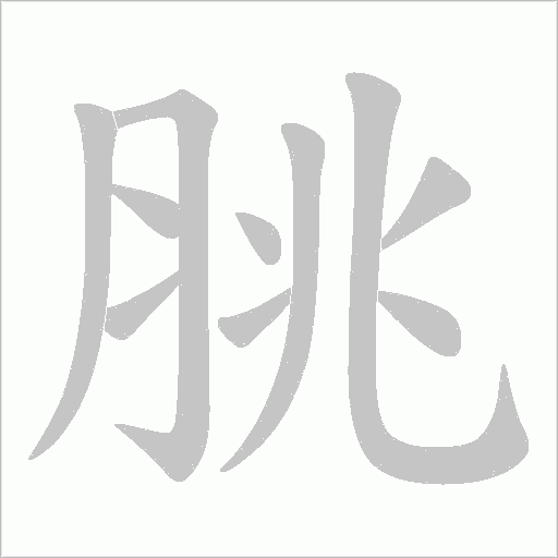 脁的筆順動畫演示