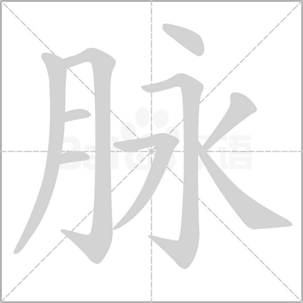 脈的筆順動(dòng)畫演示