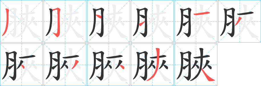 脥的筆順?lè)植窖菔?><hr /><h2>脥的基本信息</h2><div   id=