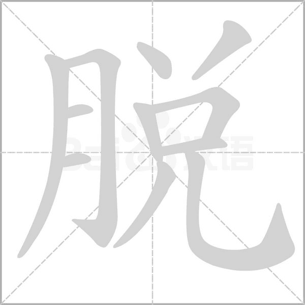 脫的筆順動(dòng)畫(huà)演示