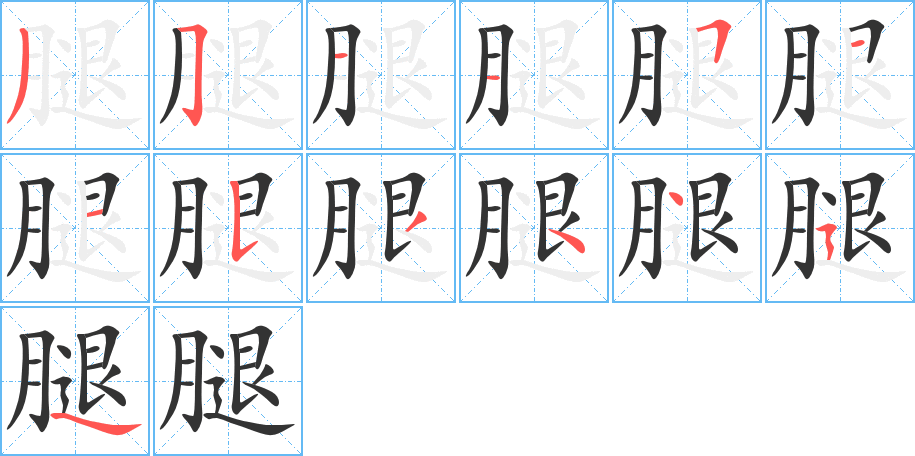 腿的筆順?lè)植窖菔?><hr /><h2>腿的基本信息</h2><div   id=