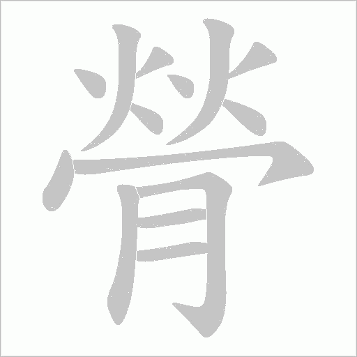 膋的筆順動畫演示