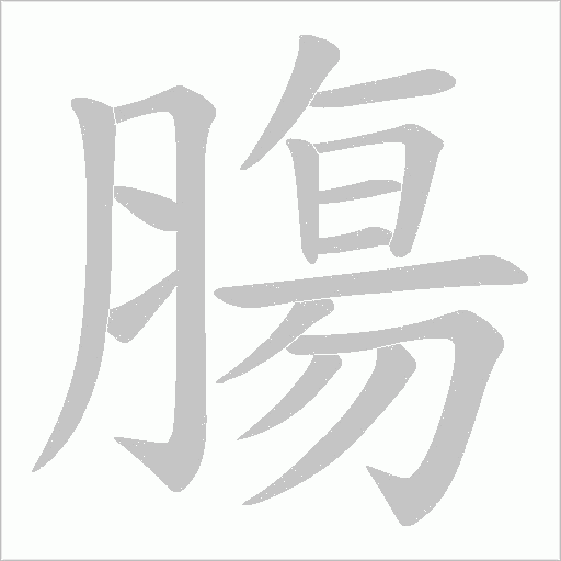 膓的筆順動畫演示