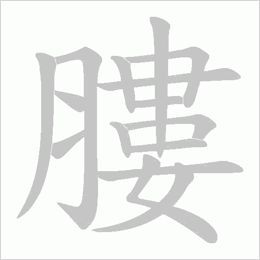 膢的筆順動畫演示