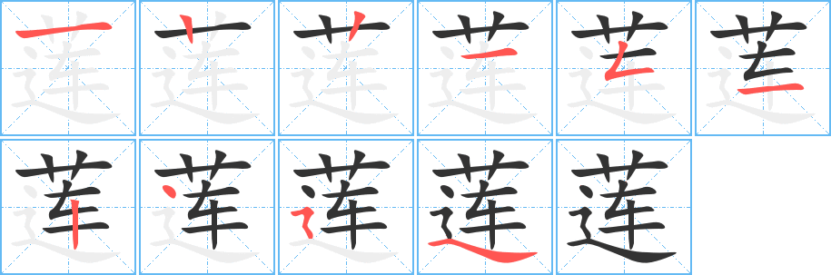 蓮的筆順分步演示