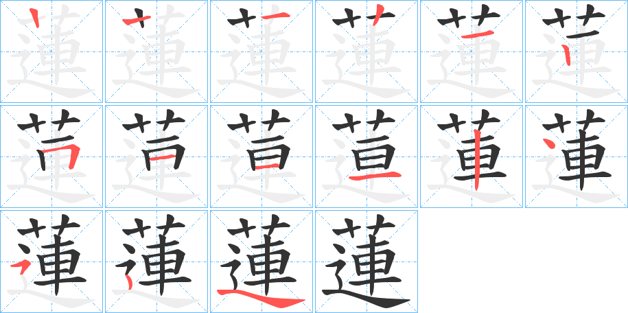 蓮的筆順分步演示