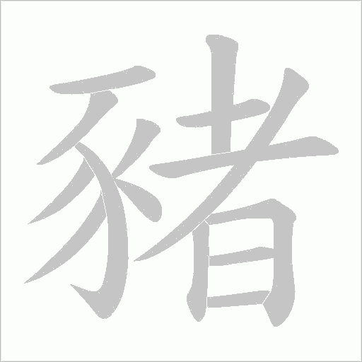 豬的筆順動畫演示