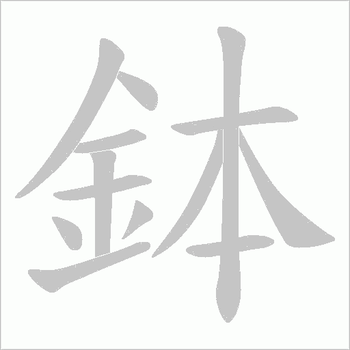 鉢的筆順動畫演示