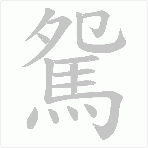駌的筆順動畫演示