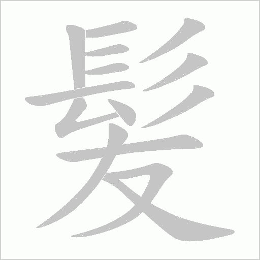 髪的筆順動畫演示