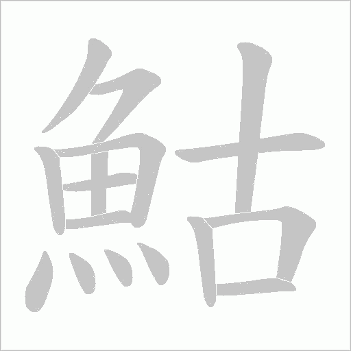 鮕的筆順動畫演示