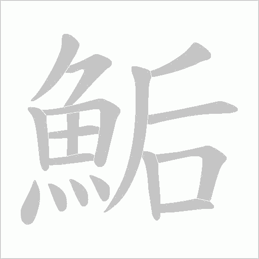 鮜的筆順動畫演示