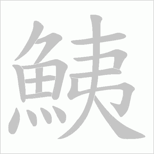 鮧的筆順動(dòng)畫演示