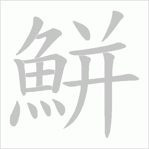 鮩的筆順動畫演示