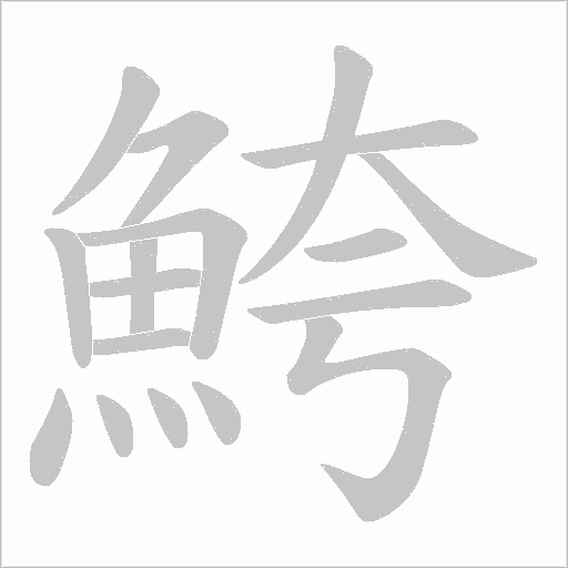 鮬的筆順動畫演示