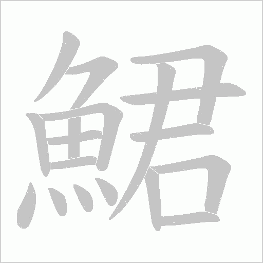 鮶的筆順動畫演示