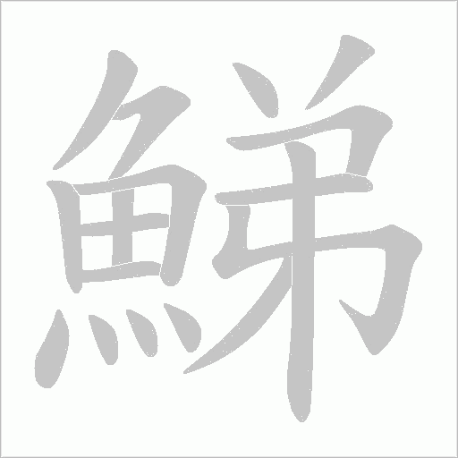 鮷的筆順動畫演示