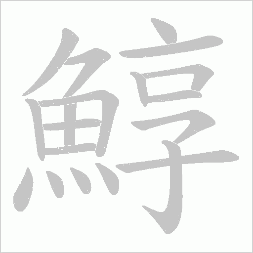 鯙的筆順動畫演示