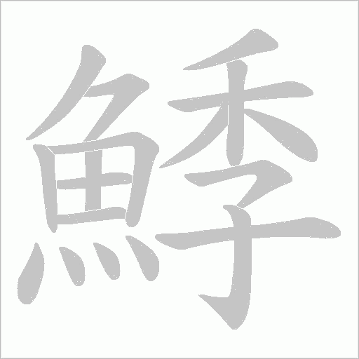 鯚的筆順動(dòng)畫演示
