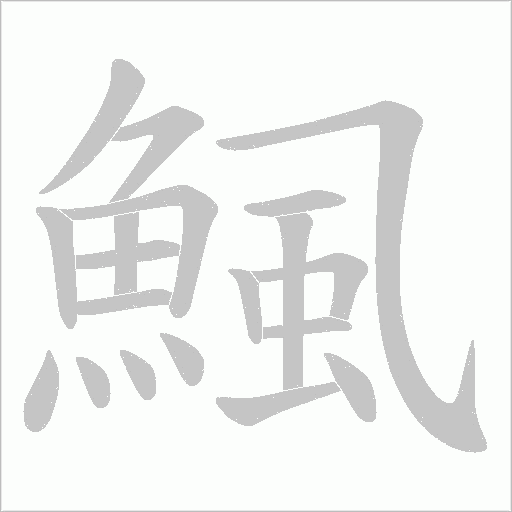 鯴的筆順動(dòng)畫(huà)演示
