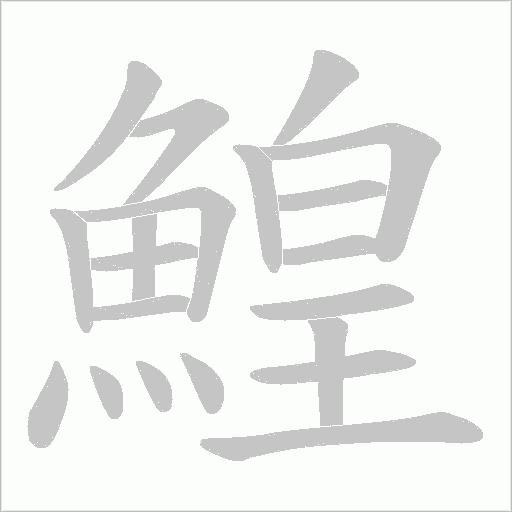 鰉的筆順動畫演示