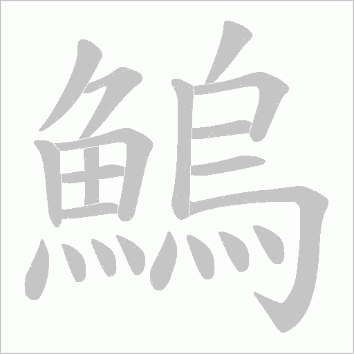 鰞的筆順動(dòng)畫演示
