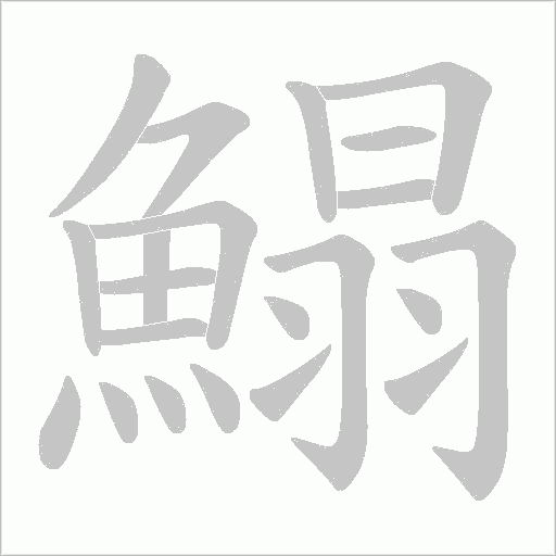 鰨的筆順動畫演示