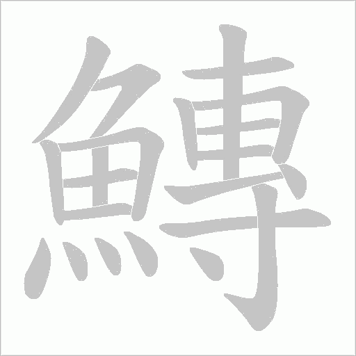 鱄的筆順動(dòng)畫演示
