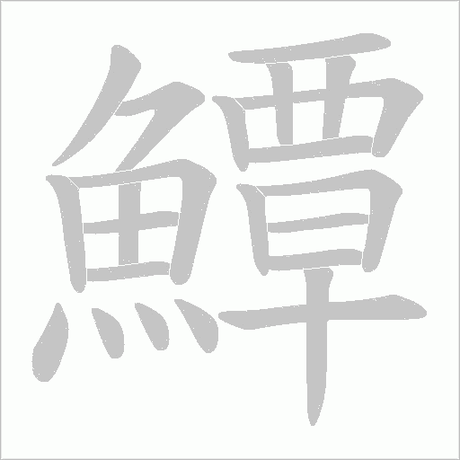 鱏的筆順動畫演示