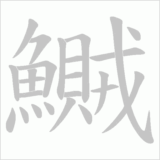 鱡的筆順動畫演示